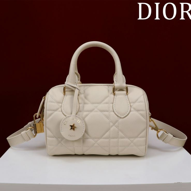 chr1st1an D10r boston bags